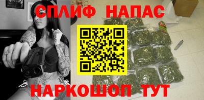 стаф Камышлов