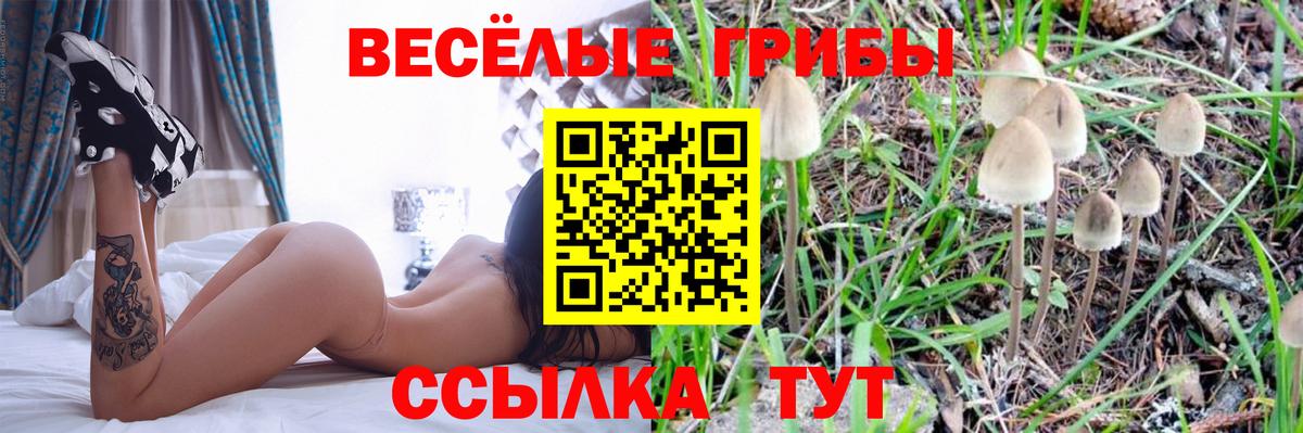 Псилоцибиновые грибы GOLDEN TEACHER  Галлюциногенные грибы Psilocybine cubensis  где найти наркотики  Люберцы  Вход с VPN 